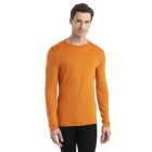 Koszulka termoaktywna męska Icebreaker Merino 260 Tech LS Crewe - Earth 1