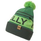 Czapka zimowa Helly Hansen RIDGELINE BEANIE - Darkest Spruce 1