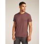 Koszulka termoaktywna męska Icebreaker Merino 150 Tech Lite III SS Tee - Carob