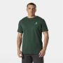 Koszulka bawełniana męska Helly Hansen Shoreline T-Shirt 3.0 - Jungle Green